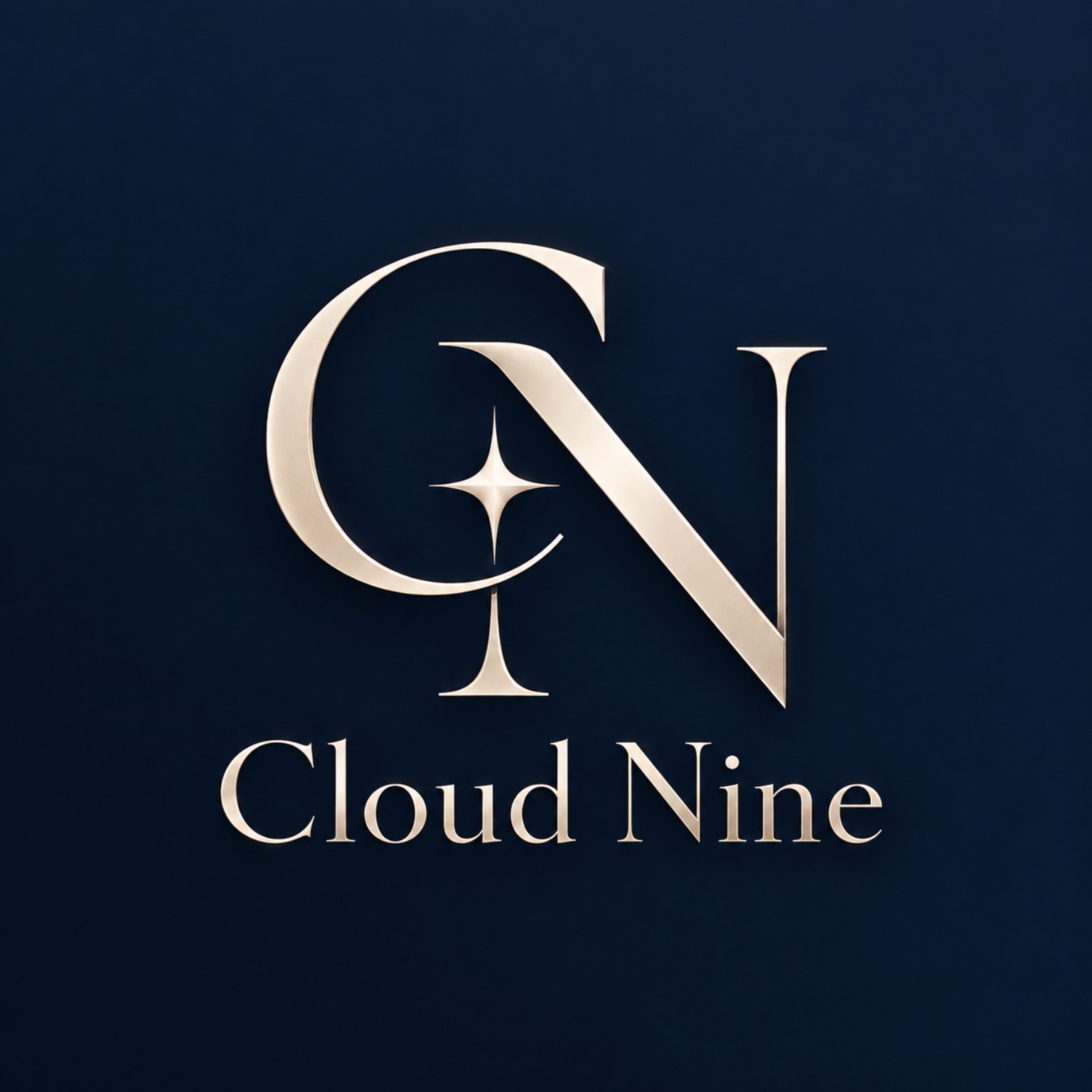 Cloud Nine company logo